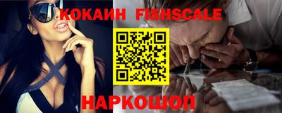 дмт Сланцы