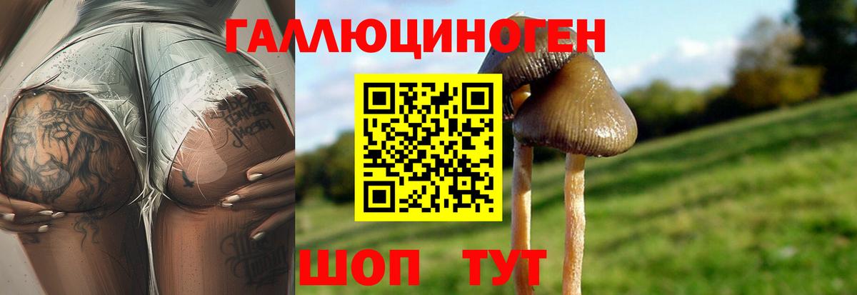 Отрадный  Псилоцибиновые грибы мухоморы  Вход с VPN 