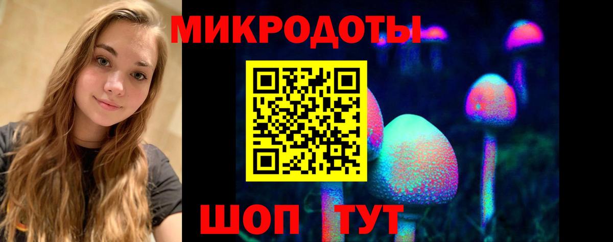 Галлюциногенные грибы MAGIC MUSHROOMS Отрадный